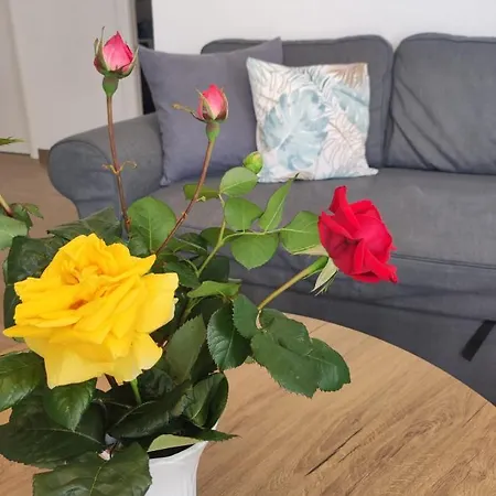 Adria Relax With Private Heated Pool Διαμέρισμα