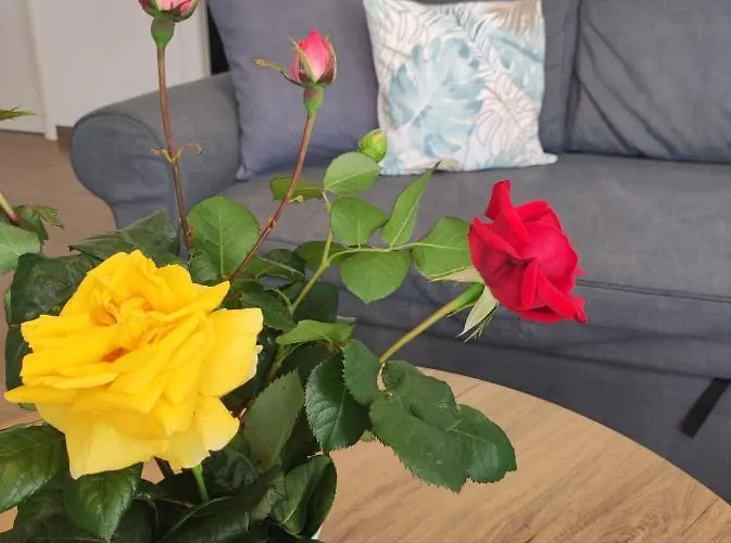 Adria Relax With Private Heated Pool Appartement